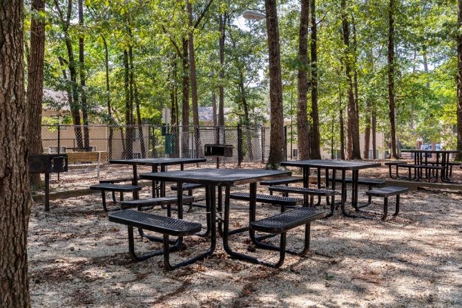 Shaded Outdoor Picnic Seating with Tall Trees